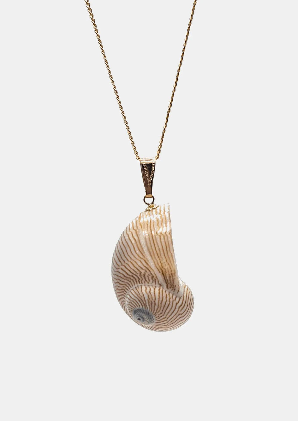 Collier coquillage Line